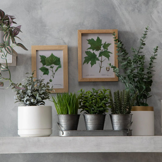 Set 3 Plantas Artificiales Con Macetero 36.8 Cm Con Bandeja Mica