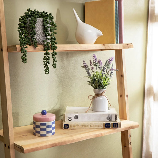 Planta S Rosario Mica