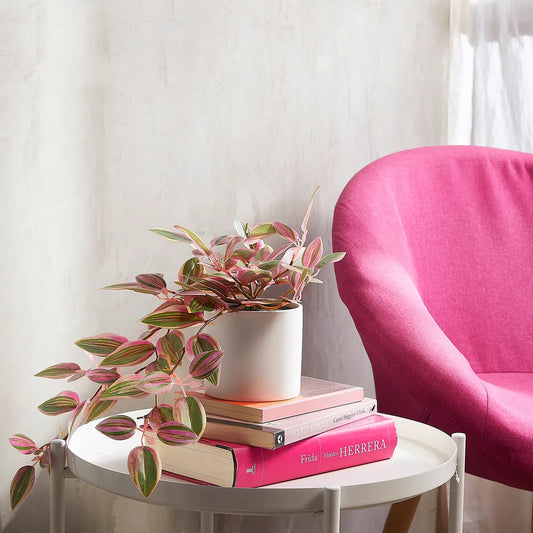 Planta Artificial Colgante Cebrina Con Macetero 10X10 Cm Mica