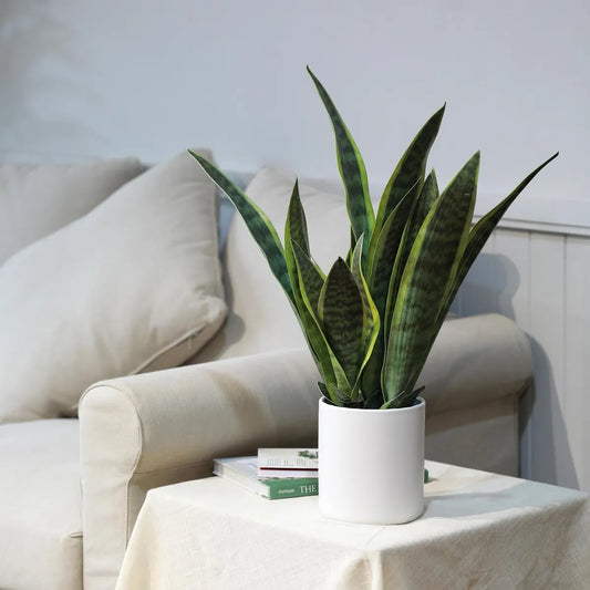 Planta Artificial Sansevieria 70 cm Verde