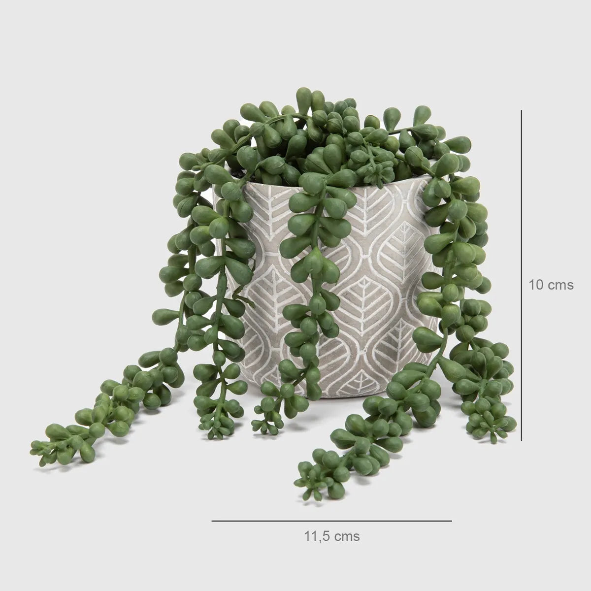 Planta S Rosario Mica