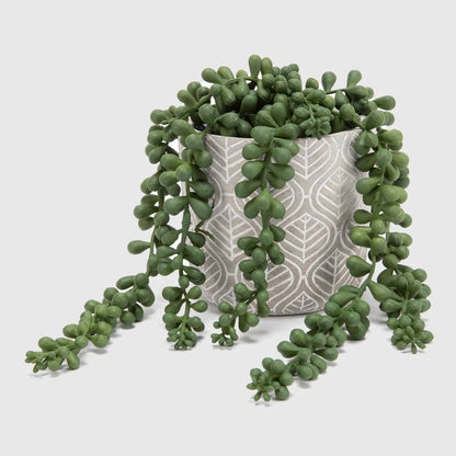 Planta S Rosario Mica