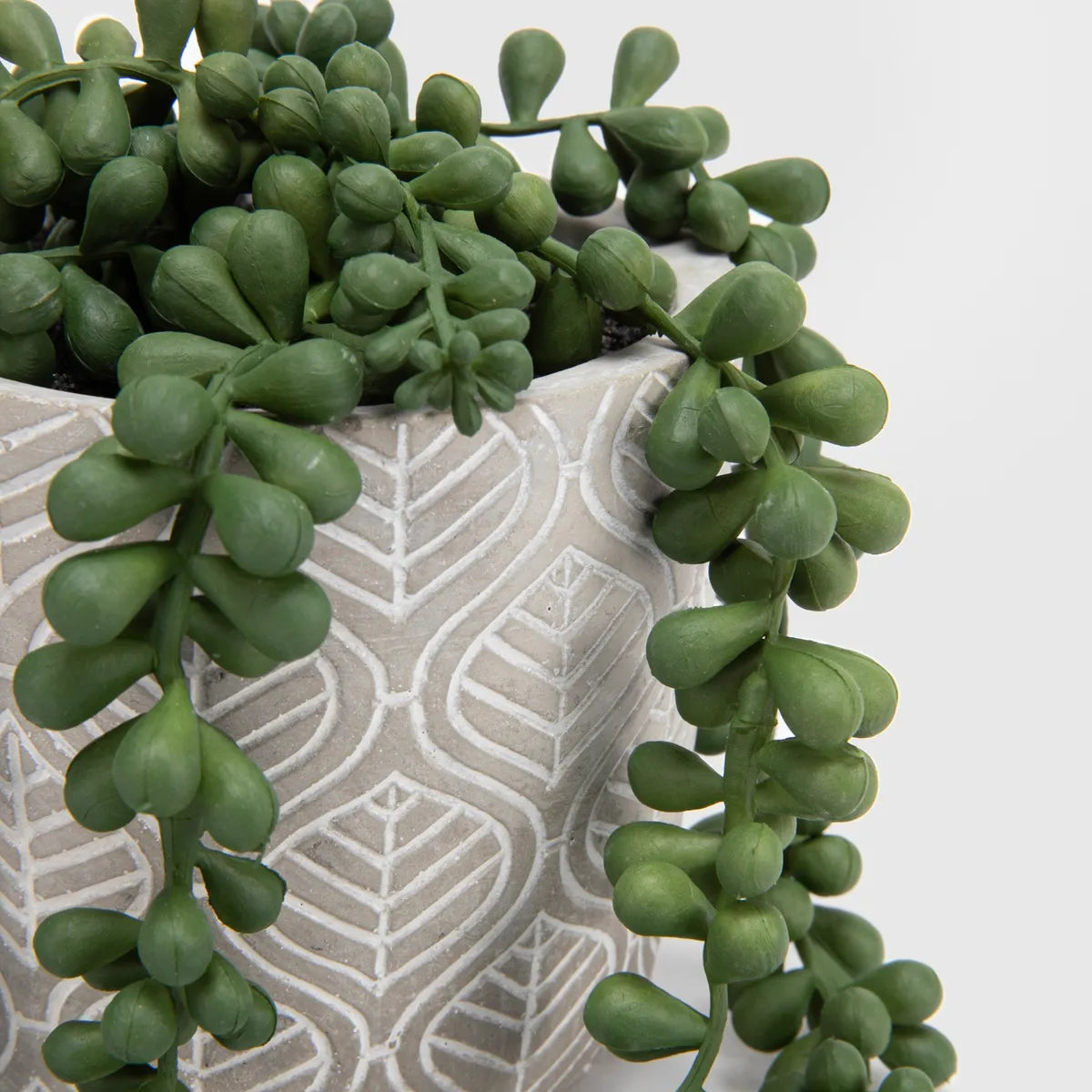 Planta S Rosario Mica